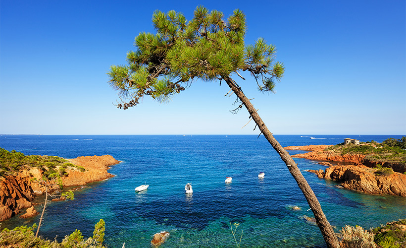 Rotes Gestein, wilde Natur: Die Côte d’Azur abseits der Strände